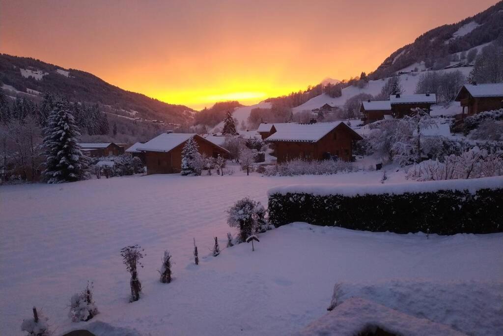 A4 km de Megève très joli studio avec jacuzzi ,vue sur les montagnes au calme Praz-sur-Arly Esterno foto