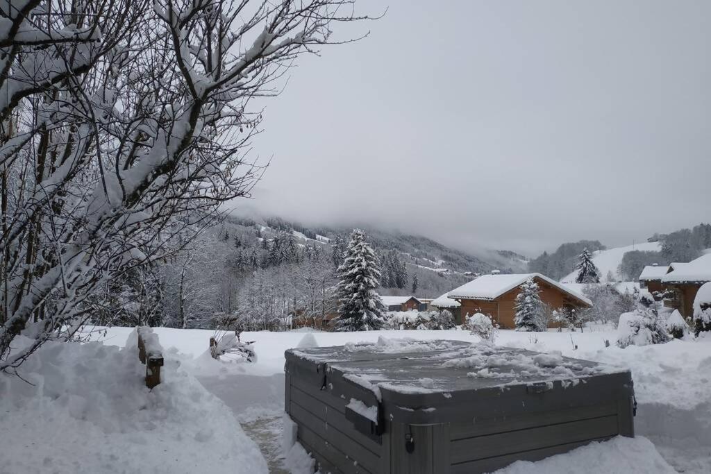 A4 km de Megève très joli studio avec jacuzzi ,vue sur les montagnes au calme Praz-sur-Arly Esterno foto
