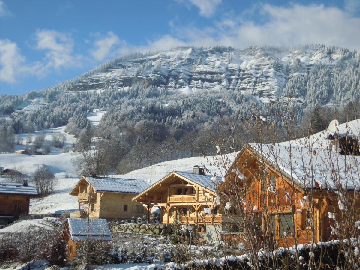 A4 km de Megève très joli studio avec jacuzzi ,vue sur les montagnes au calme Praz-sur-Arly Esterno foto