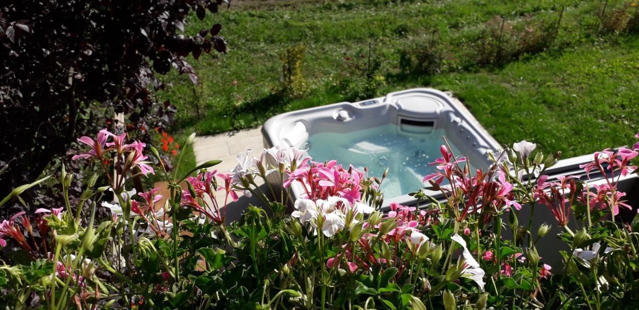 A4 km de Megève très joli studio avec jacuzzi ,vue sur les montagnes au calme Praz-sur-Arly Esterno foto