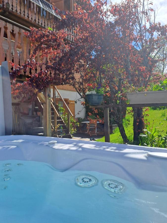A4 km de Megève très joli studio avec jacuzzi ,vue sur les montagnes au calme Praz-sur-Arly Esterno foto